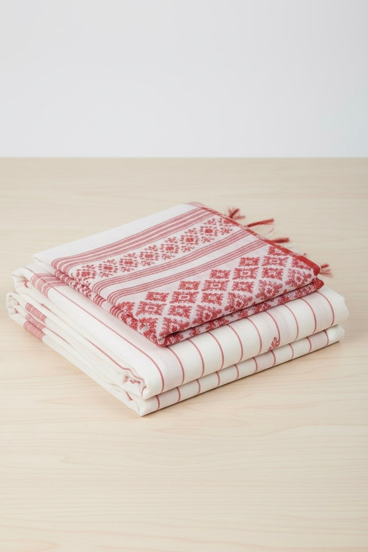 White Saree with Red Geometric Borders and Striped Pallu With blouse